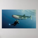 Recherche de plongée sous marine art Nature