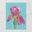 Recherche de iris cartes postales Floral