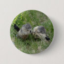 Recherche de marmotte badges Animaux