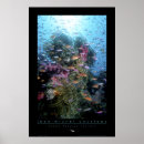 Recherche de coral reef posters Corail