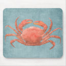 Recherche de crabes tapis souris Aquarelle