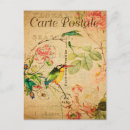 Recherche de peinture rose cartes postales Oiseau
