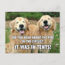 Zoek naar circus tent briefkaarten Hond