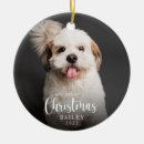 Recherche de amoureux des animaux ornements Dogs