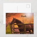 Recherche de avec chevaux cartes postales Poney