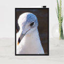 Zoek naar contrast kaarten Natuur