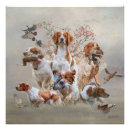 Recherche de épagneul bretagne posters Spaniel breton