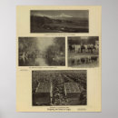 Zoek naar landbouw posters Four