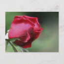 Zoek naar single briefkaarten Natuur