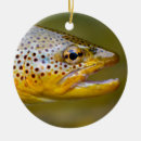 Zoek naar forel ornamenten Vissen