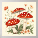 Recherche de champignon rouge posters Gélosé