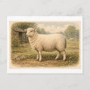 Recherche de ferme animaux cartes postales Illustration