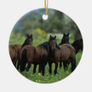 Recherche de mustang sauvage ornements Groupe