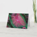 Zoek naar coleus posters Tuin