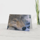 Zoek naar grijze wolf kaarten Wild