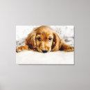 Recherche de cocker impressions sur toile Chiot
