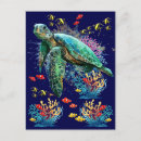 Recherche de tortues marines cartes postales Pour tous