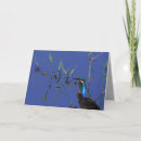 Zoek naar ijsvogels kaarten Natuur