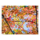 Recherche de nature abstraite posters Orange