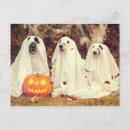 Recherche de fantôme halloween cartes postales Drôle