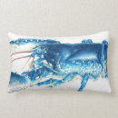Recherche de crustacés coussins Homard