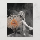 Zoek naar vintage fee briefkaarten Bloemen