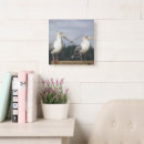 Zoek naar schedel fotografie Vogel