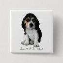 Recherche de beagle badges Chiot