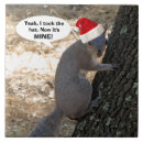 Zoek naar haat tegels Dieren