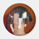 Recherche de appui vertical magnets Humour