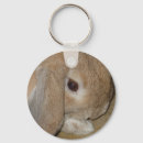 Recherche de nain accessoires Animaux