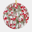 Zoek naar winter berries ornamenten Kerstmis
