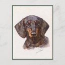 Zoek naar vintage honden briefkaarten Dachshund