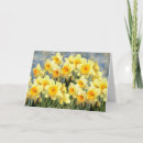 Zoek naar gele narcis posters Daffodil