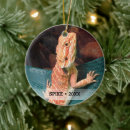 Recherche de lézards ornements Reptile