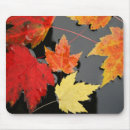 Recherche de feuille rouge tapis souris Photographie