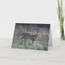 Recherche de cerfs communs vœux cartes Forêt