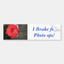 Recherche de photo voiture autocollants Fleurs