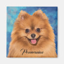 Recherche de pom magnets Animal