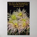 Recherche de chrysanthème posters Flower