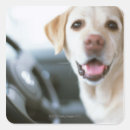 Recherche de pare brise autocollants De près