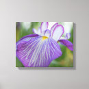 Recherche de pourpre impressions sur toile Décoration