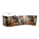 Recherche de de chat de rubans Tabby