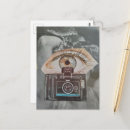 Recherche de années 60 cartes postales Unique