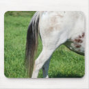 Recherche de culotte tapis souris Animal