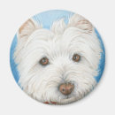 Recherche de chien westie magnets Blanc