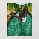 Zoek naar adelaars briefkaarten Natuur