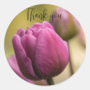 Recherche de beauté nature autocollants Printemps