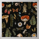 Recherche de païen posters Botanique