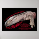 Zoek naar monitoring posters Hagedis